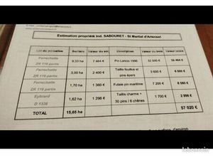 Parcelle de bois 16ha