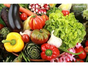 Fonds de commerce primeur