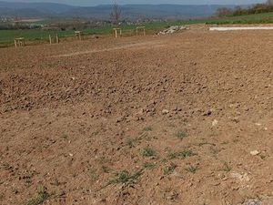 Vend très beau terrain viabilisé