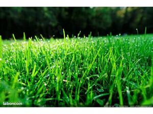 Terrain 401 m² Altkirch