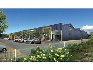 Local d'activité 347 m²