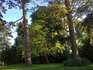 Pour amateurs de calme