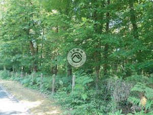 Superbe terrain constructible de 4033m2