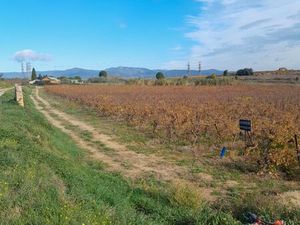 Terrain agricole/loisir