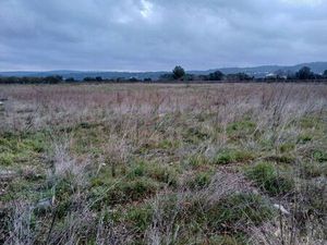 Terrain agricole 12 300m2