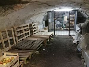 Box  cave 112 rue St Dizier NANCY