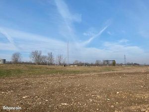 Terrain 500 m² Niffer