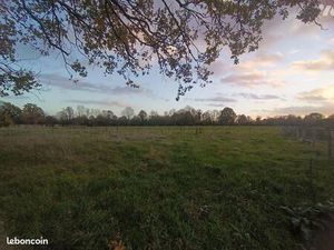 Terrain constructible viabilisé à vendre