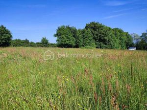 VALERIE DELION BSK IMMOBILIER