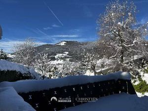 MONT BLANC IMMOBILIER