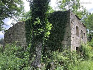 Terrain 3 105 m² Lapte