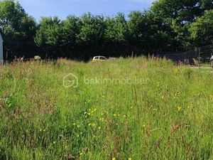 Terrain 2 223 m² Carrouges