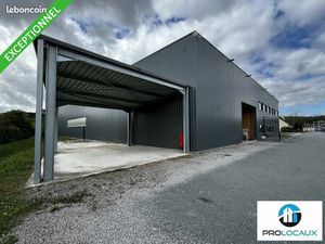 Local d'activité 1 772 m²