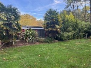 Terrain 50 m² Camoel