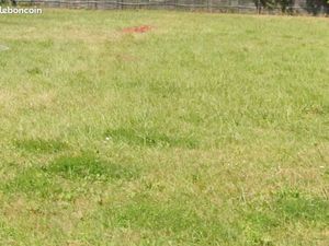 Terrain 222 m² Merignac