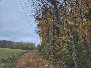 Terrain boisé 1 1 ha - forêt taillis sous futaie - Sailly 78 - Chênes / Frênes