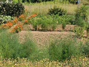 Terrain 320 m² Raizeux