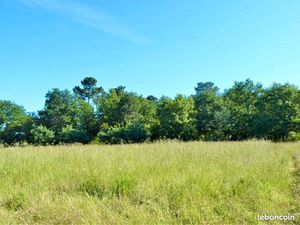 Terrain 800 m² Camblanes Et Meynac