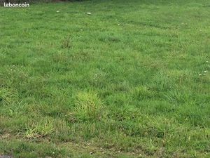 Terrain 410 m² Reze