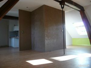 Appt 2 pièces début rue St Brice (superficie habitable : 72 m² - carrez : 53 m²) - Chartre