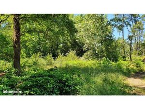 Terrain 769 m² Bouliac