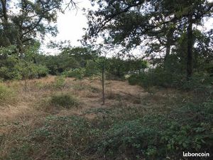 Terrain constructible 3000m² Luxey