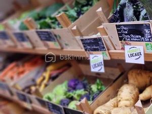 RENAUD SAUZE BSK IMMOBILIER