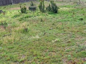 Terrain 515 m² Begles