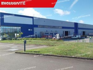 Local logistique 19 015 m²