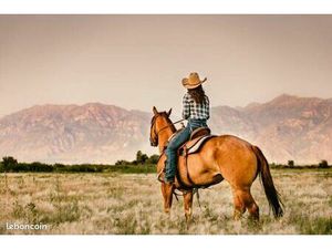 Recherche - saint andre de seignanx - prairies / champs / bois - 1hectare mini