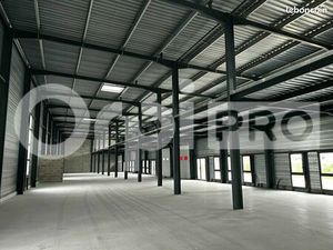 Local d'activité 352 m²