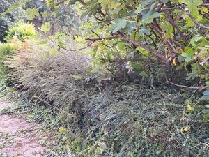 Maison 5 chambres sur sous-sol