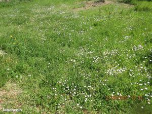 Terrain 698 m² Blain