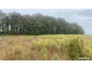 Terrain agricole ou loisir à vendre