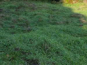 Terrain 335 m² La Teste De Buch