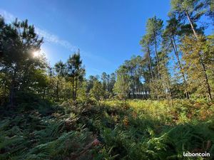 Terrain 890 m² Andernos Les Bains