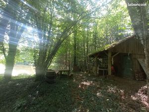Terrain boisé avec étang et cabanon
