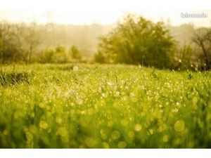 Terrain 710 m² Montigny Sur Loing