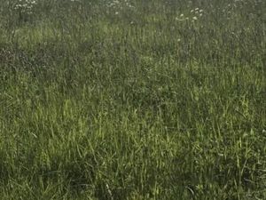 Terrain 770 m² Saint Cyr Des Gats