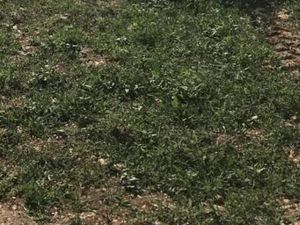 Terrain 658 m² Fontaines