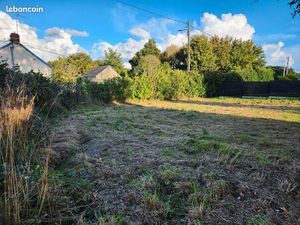 Terrain constructible