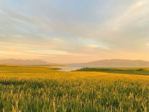 Recherche terrain urgent