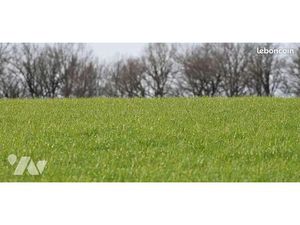 Terrain 239 m² VERCHAIN MAUGRE