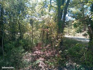 A louer terrain agricole