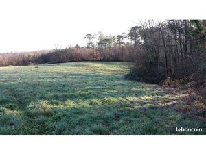 Terrain cultivable 12 363 m3   mi-terre  mi-forêt à Misson