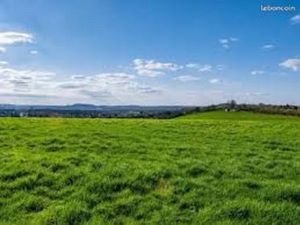 Terrain constructible et viabilisé de 350m²