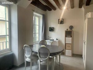 Grand appartement 1 pièce  36m2