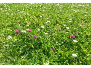 Terrain 308 m² Guerande