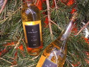 Fonds de commerce artisanal - Alcool de kiwis