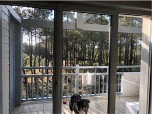 Appartement à Labenne